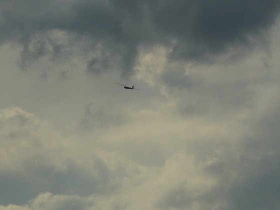 img00026.jpg